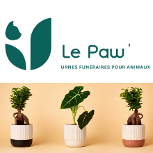lepaw