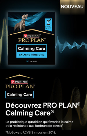 Hills TransformingLives Logo