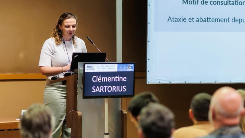clementine sartorius 800