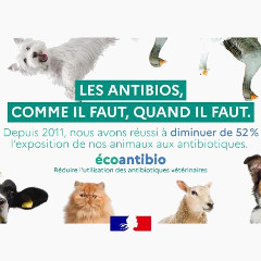 module ecoantibio